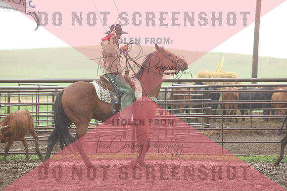 255A9324