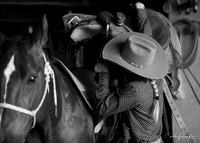 The Cowboy Paparazzi - Working Cowboys