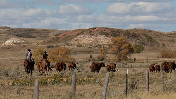 N__21Sep2021 LRA Ride-1691