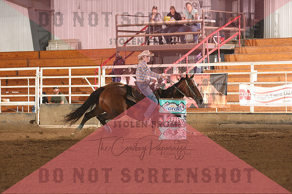 255A0631