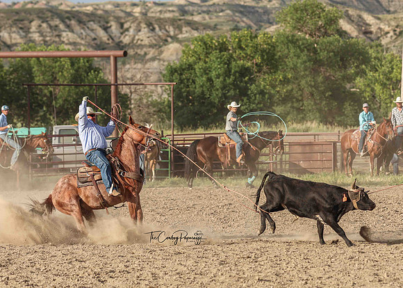 2025 Bar One Bar Roping #2-0105