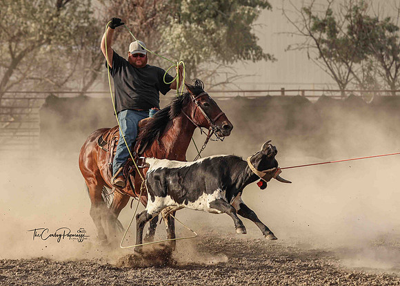 2025 Bar One Bar Roping #2-0264