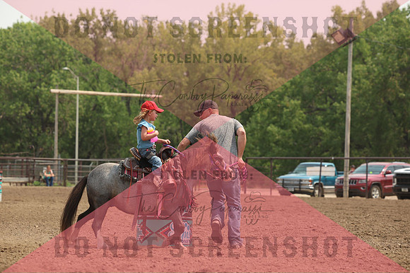 255A0446