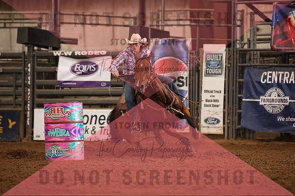 255A4631