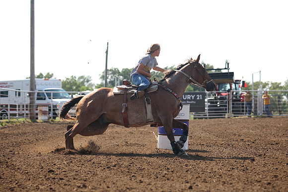 255A6331