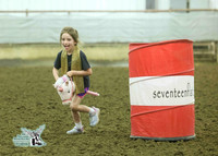 Stick Horse PeeWees