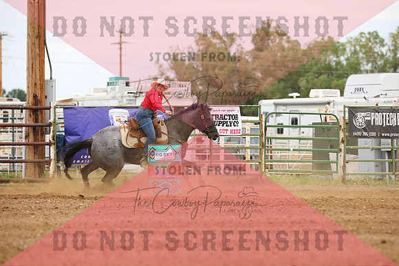 255A3261