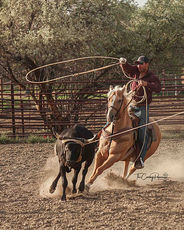 2025 Bar One Bar Roping #2-0206