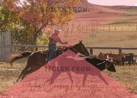 2024 McMillen Pasture Roping-7536