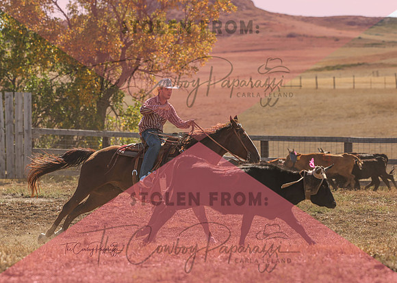 2024 McMillen Pasture Roping-7536