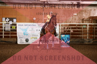 255A1141