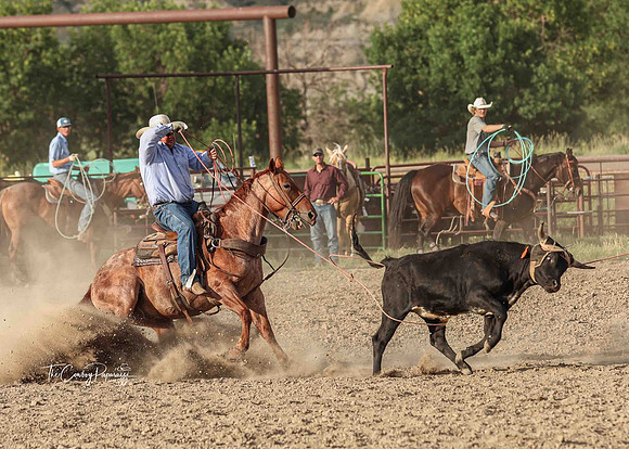 2025 Bar One Bar Roping #2-0104